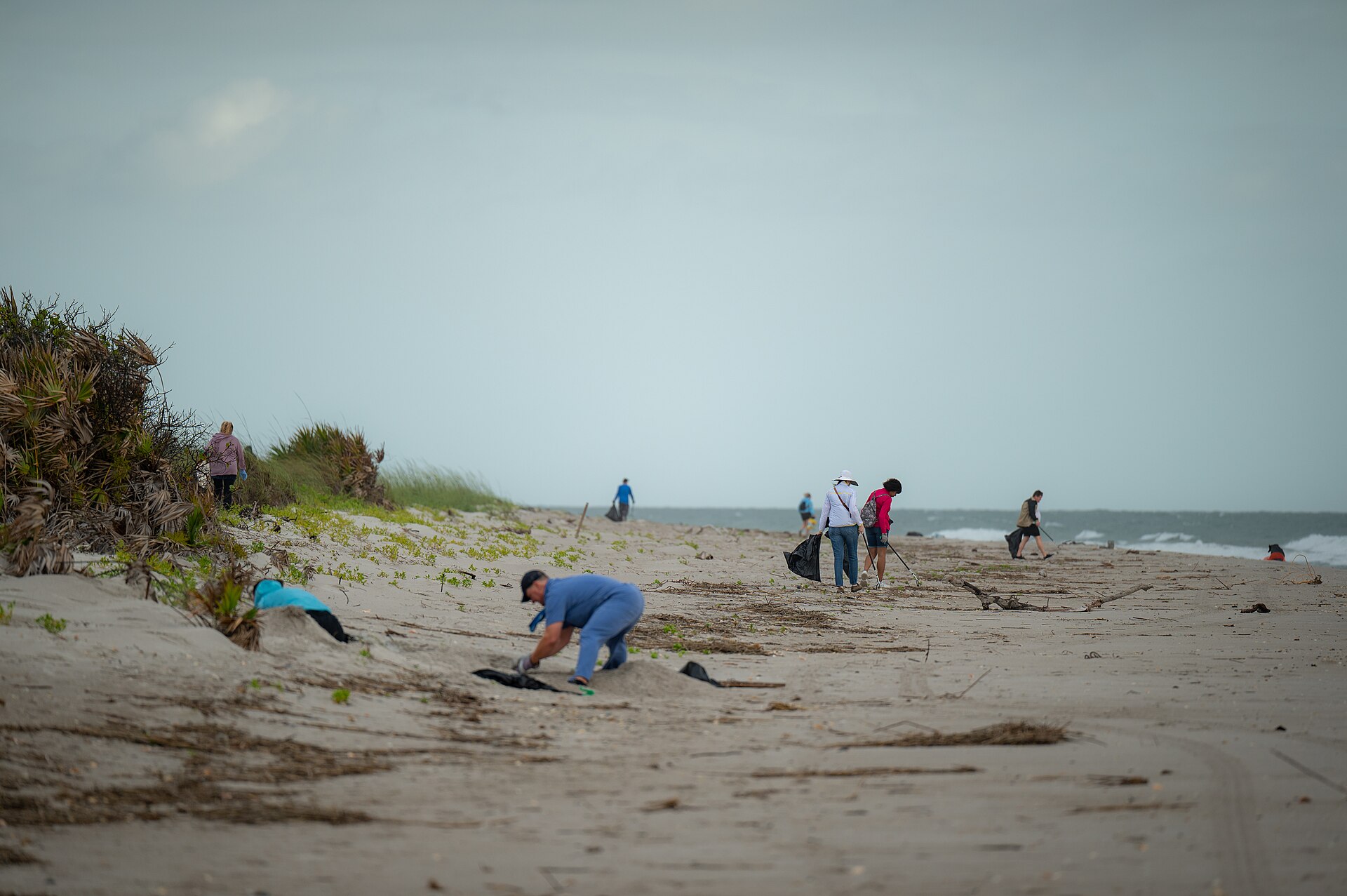 Illustrative photograph of volunteers removing debris from a Florida beach